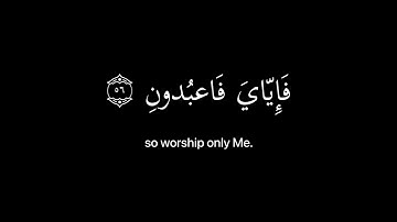 يا عبادي الذين آمنوا ان ارضي واسعة  كروما قران شاشه سوداء   القارئ عبدالرحمن مسعد