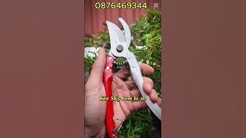 Bộ 8 Món Dụng Cụ Làm Vườn Cây Cảnh Bonsai