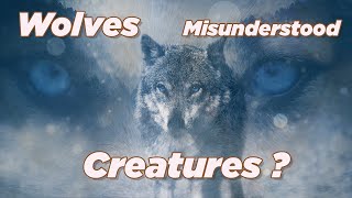 Wolves : Misunderstood Creatures?