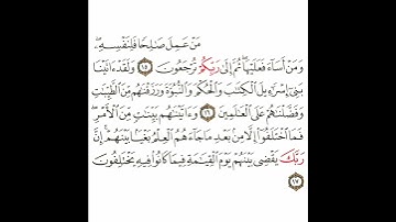 سورة الجاثية 5 القسم الخامس تكرار كيفي من .. من عمل صالحا فلنفسه .. إلى .. فيما كانوا فيه يختلفون