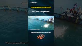 Lost Tuna, Losing Forutne! - CHASING UNDERWATER DRONE -
Conduct daily inspections and auto-generate reports with CHASING M2 PRO, saving time and ensuring timely management! ! #FishFarming #underwater #ROV #aquaculture
M2 S: https://www.chasing.com/chasing-m2s.html
M2 PRO: https://www.chasing.com/chasing-m2pro.html
M2 PRO MAX: https://www.chasing.com/chasing-m2pro-max.html
Dory: https://www.chasing.com/chasing-dory.html
MINI S: https://www.chasing.com/mini-s.html
F1 Pro: https://www.chasing.com/chasing-f1-pro.html
CF1: https://www.chasing.com/chasing-canfish-cf1.html
Join our Official CHASING UNDERWATER DRONES Owners Group
https://www.facebook.com/groups/CHASINGUsersGroup/
Like us on Facebook: https://www.facebook.com/chasingunderwaterdrones
Follow us on Instagram:
https://www.instagram.com/chasing_underwater_drones
Follow us on Twitter:
https://twitter.com/chasingdrones
To learn more about us, visit our website:
https://chasing.com/
#underwaterdrone #chasing #ROV Lost Tuna, Losing Forutne! - CHASING UNDERWATER DRONE -