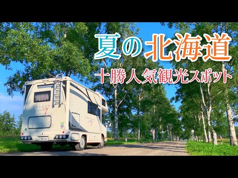 【キャンピングカーで猫と車中泊の旅】富良野RVパーク～十勝人気観光スポット巡り【クレソンジャーニー】