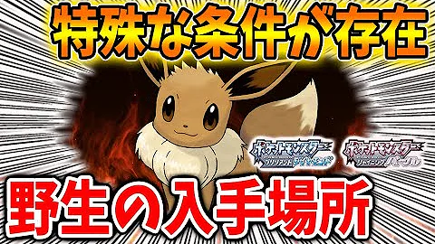 ダイパリメイクイーブイ入手方法