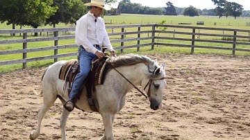 3 Minute Training Tip - Soft Smooth Transitions - Trot to Back Up