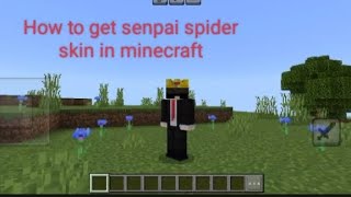 How to get senpai spider skin in minecraft in hindi | Ultimate_gameryt screenshot 3