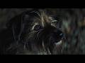 Imminence - If Not Now, When (Official Music Video)