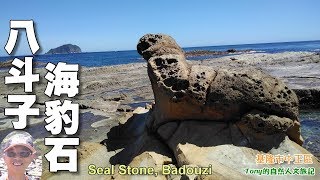 最新爆紅的八斗子海岸祕境景點~海豹石（Seal Stone）