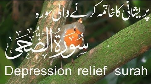 Calming recitation of Surah Ad-Duha سُورَة الضُحَى | Peaceful VOICE | by Quran Al Hadees official