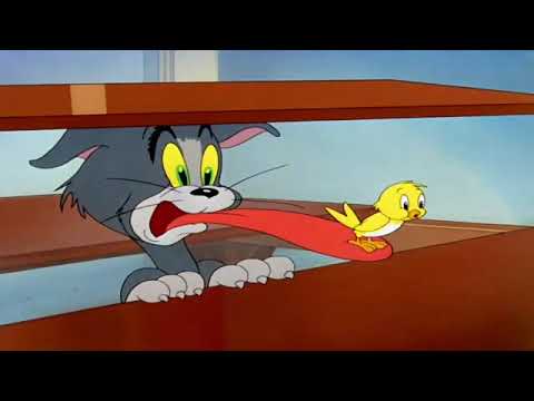 (60fps) Tom's The Cuckoo Clock For 10 Hours! (Kitty Foiled Version)