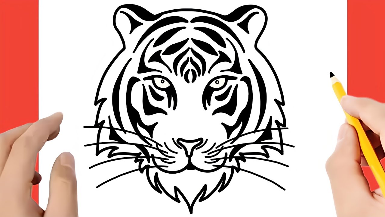COMMENT DESSINER UN TIGRE ÉTAPE PAR ÉTAPE - DESSIN DE TIGRE - YouTube
