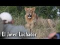 EL JOVEN LEÓN que NUNCA SE RINDIO | UN LUCHADOR