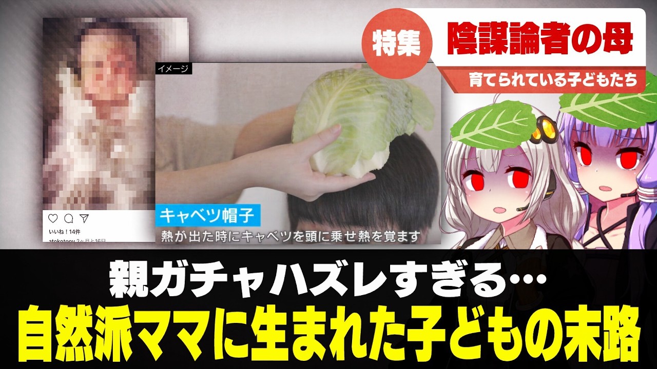 自然派ママの実態　解説