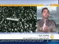 ذكرى يوليو ومسارات التغيير في مصر وائل عادل 
