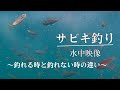 サビキ釣り 水中動画　アジ・サバ・ショゴ　　〜なぜ釣れないかが必ず分かる〜