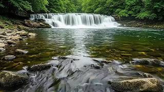 Download lagu Relaxing River Sound for Therapy • Heals Mind, Depression & Anxiety