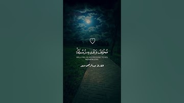 أكتب شيء تؤجر عليه القارئ عبدالرحمن مسعد🤍🍃