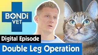 Cat In Lockdown Needs a Double Leg Operation | E16 | Bondi Vet