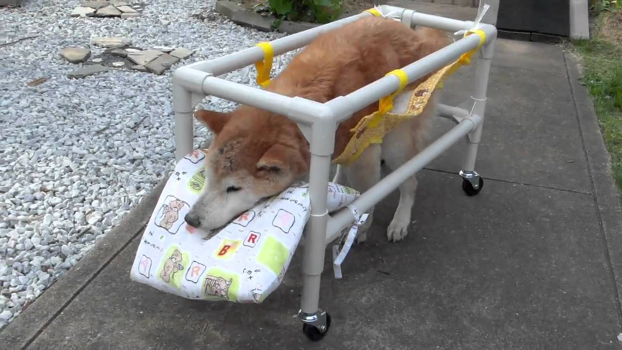 世界で１つだけの四郎クンの車椅子 手作り しろうくんのブログ