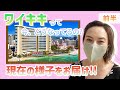 【現在のハワイ！？~前半～】一年ごしのワイキキを現地リポート！