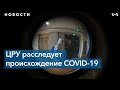 Разведка США оценивает теории происхождения COVID-19