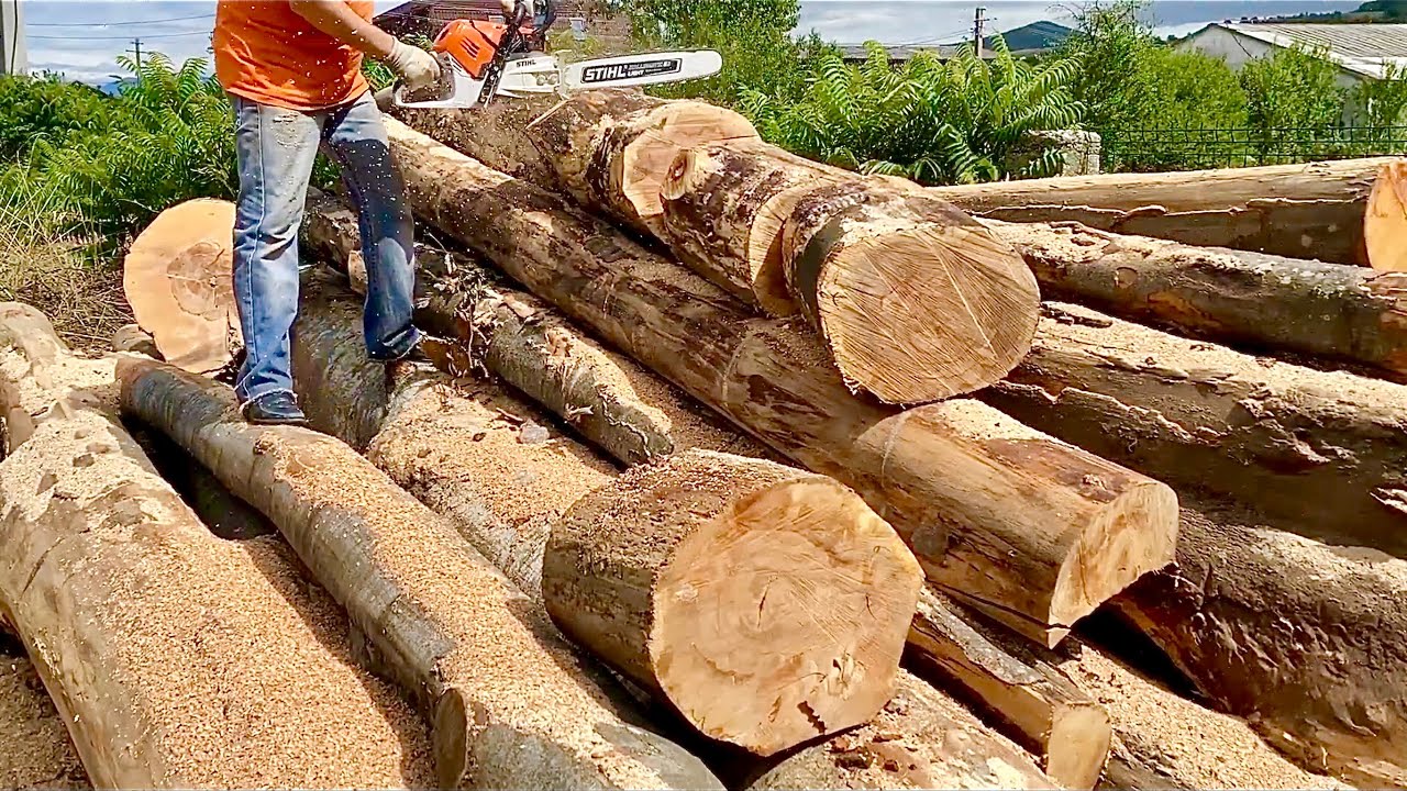 Stihl MS 500i Cutting Firewood - YouTube
