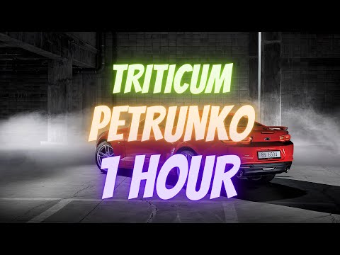 TRITICUM - Petrunko | 1 HOUR |