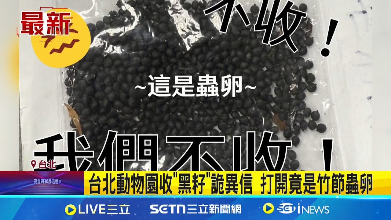 台北動物園收”黑籽”詭異信 打開竟是竹節蟲卵 │記者 張舒涵 蔡宇智│新聞一把抓20250323│三立新聞台