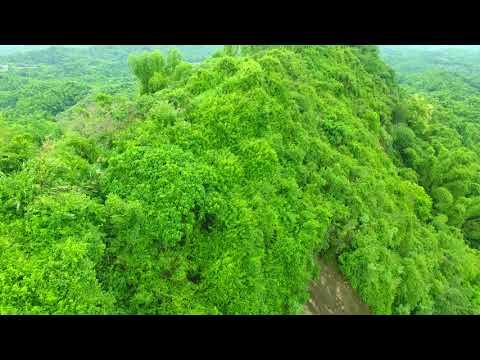 馬頭山的自然之美2   Qishan District ,Kaohsiung ,Taiwan 20180817 pic