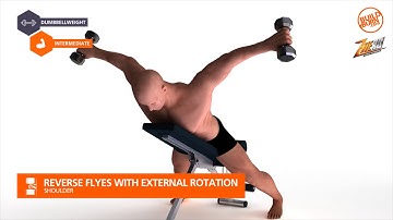 Shoulder   Reverse Flyes with External Rotation