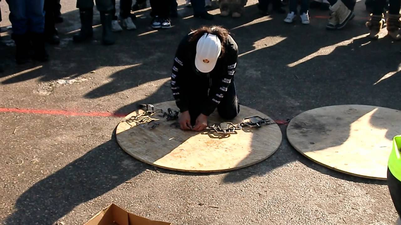 Queen Trapper Trap Setting, Northern Manitoba Trappers' Festival 2012 at The Pas YouTube Queen Trapper Trap Setting, Northern Manitoba Trappers' Festival 2012 at The Pas YouTube