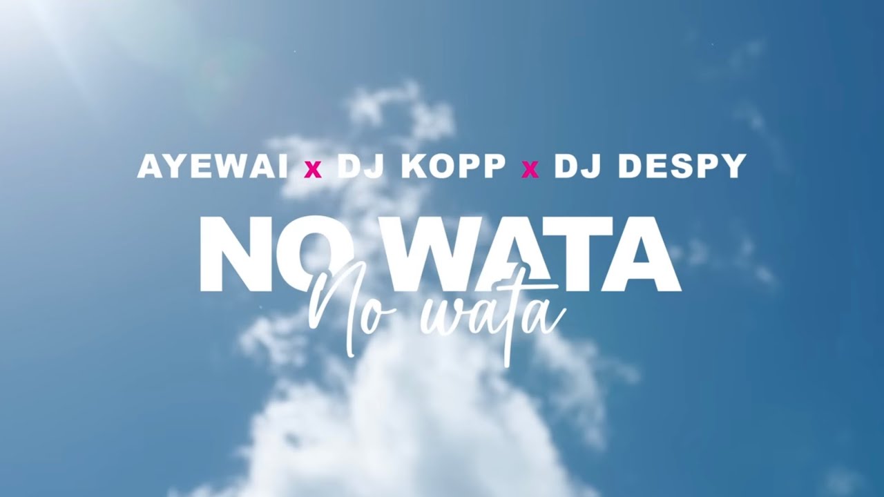 Ayewai x Dj Kopp x Dj Despy  No Wata  Clip Officiel 