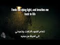 The Song That Everyone Loves Translated الاغنية التى يعشقها الجميع مترجمة The Song That Everyone Loves Translated الاغنية التى يعشقها الجميع مترجمة