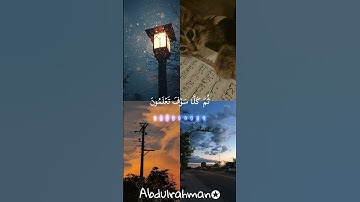 سوره التكاثر بصوت الشيخ|عبدالباسط عبدالصمد 🤍🍃✨.