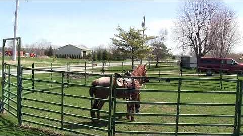 A bit of the ride with Bo on his spring tune up pt4 With Smokie Brannaman