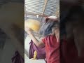 yo comiendo elegante