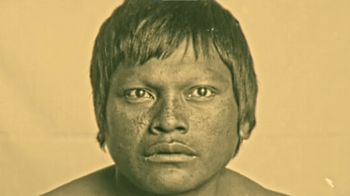 Unnecessary Stories: Napalpí Massacre