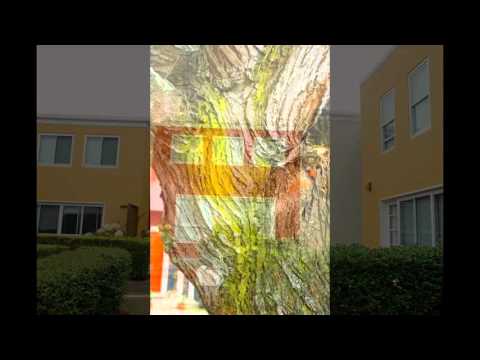 Parkmerced Apartments in 2011 - 