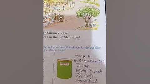 Std 1 Env ( Our neighbourhood)