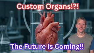 Are We Growing Body Parts In A Lab Now?