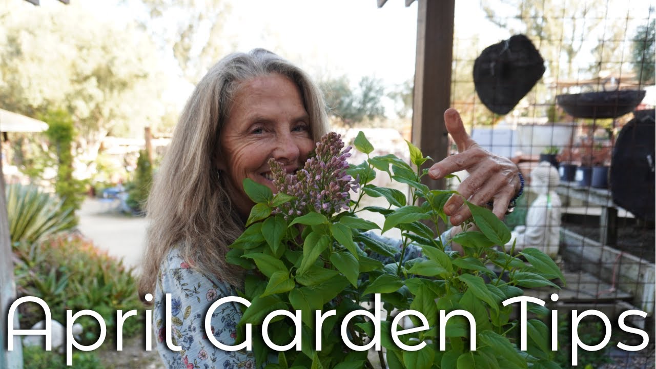 🌸🌱🌻April Garden Checklist: Essential Tasks for a Happy Garden 🌻🌱🌸 #gardeningtips  #spring garden