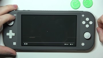 Nintendo Switch Lite How To Check Serial Number