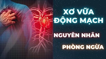 Xơ vữa động mạch - Cách phòng ngừa bạn đã biết? [Câu Chuyện Sức Khoẻ]