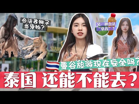 泰国到底还能不能去？！安全吗😱曼谷旅游体验当今现状， 发现另一种合法的"D品"？ 日本文化爆火，到处是日语？ 养狮子当宠物合法？打车注意事项‼️曼谷又更新了！