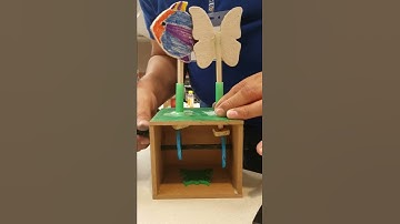 Automata Project IED