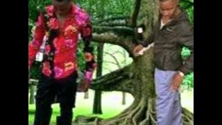 Mdumazi- Zinkulungwane