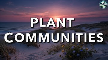 Plantengemeenschappen