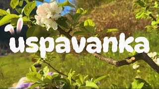 Cenibeni - Uspavanka Offical Video