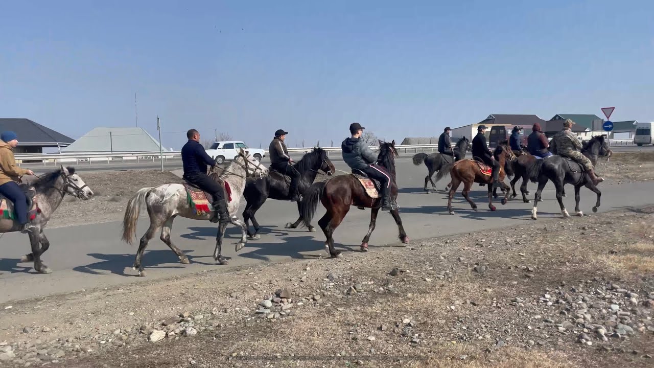 Gəncə Yorğacıları gəzintidə🐎