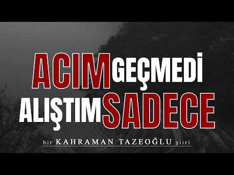 Emre Özdemir - Acım Geçmedi Alıştım Sadece