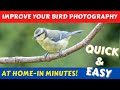 How To Take Pro Quality  Garden Bird Photography Images. Improve your photography skills in minutes!